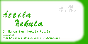 attila nekula business card